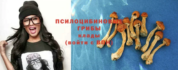 мет Богданович
