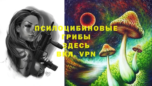 мет Богданович