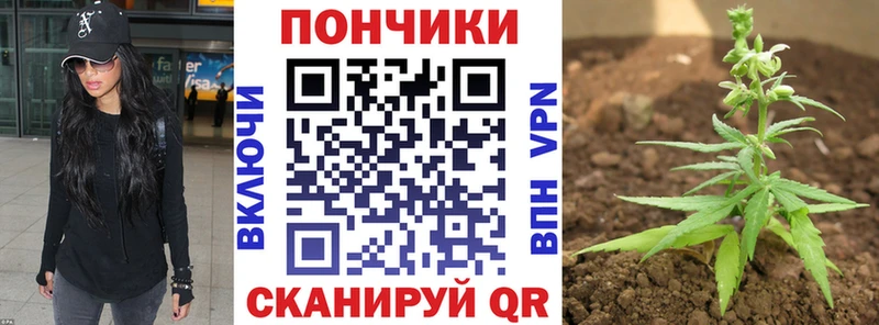 продажа наркотиков  Томмот  Каннабис LSD WEED 